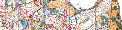ÖM Nacht, 8. Austria Cup
